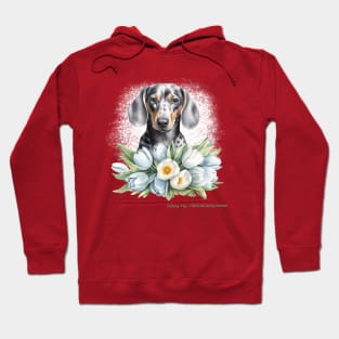 Valentine Grey Dachshund Flowers Hoodie